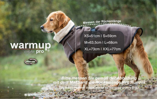 Hund im WARMUP Cape Pro Grün – Ideal nach Regen oder Training, mit Rollkragen und verstellbarem Schnallenverschluss