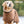 WARMUP CAPE PRO® Wendecape Camel