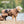 WARMUP CAPE PRO® Wendecape Camel