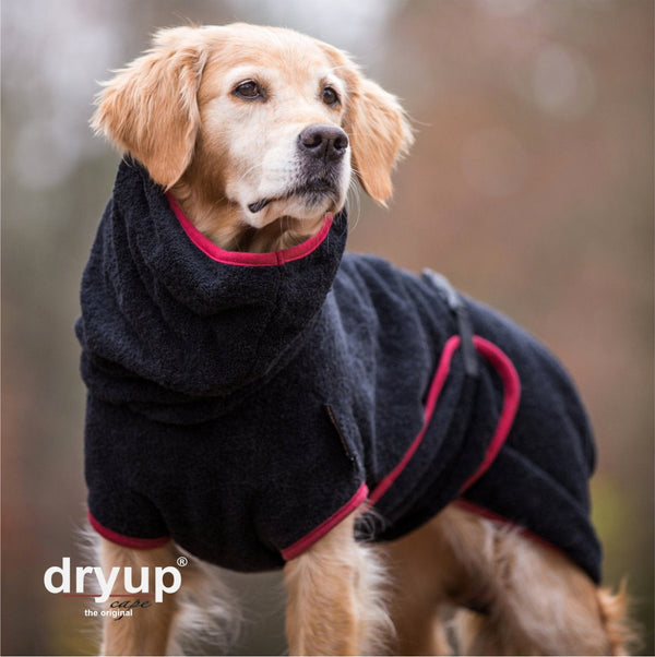 DRYUP CAPE® | Farbe: BLACK / SCHWARZ - KENSONS for dogs