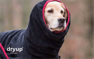 Hunde-Bademantel Schwarz mit verstellbarem Schnallenverschluss – Praktisch, pflegeleicht und kuschelig warm für deinen Hund