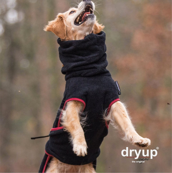 DRYUP CAPE® | Farbe: BLACK / SCHWARZ - KENSONS for dogs