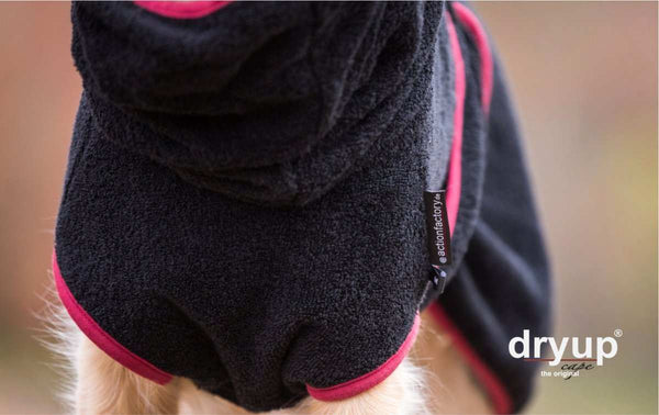 DRYUP CAPE® | Farbe: BLACK / SCHWARZ - KENSONS for dogs