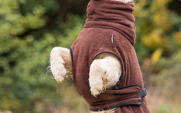 Brauner DRYUP Cape Bademantel für Hunde aus 100% Baumwoll-Frottee – ideal nach Regen, Schwimmen und Matsch