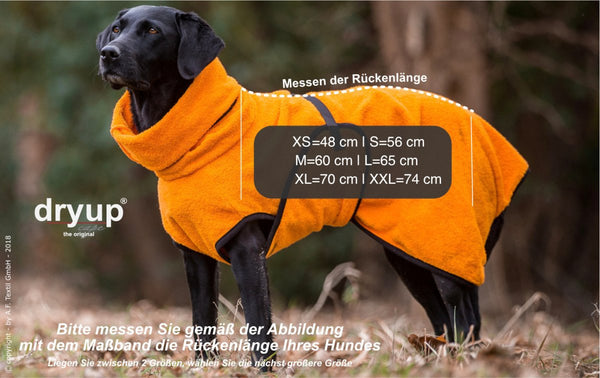 DRYUP CAPE® | Farbe: CLEMENTINE / ORANGE - KENSONS for dogs