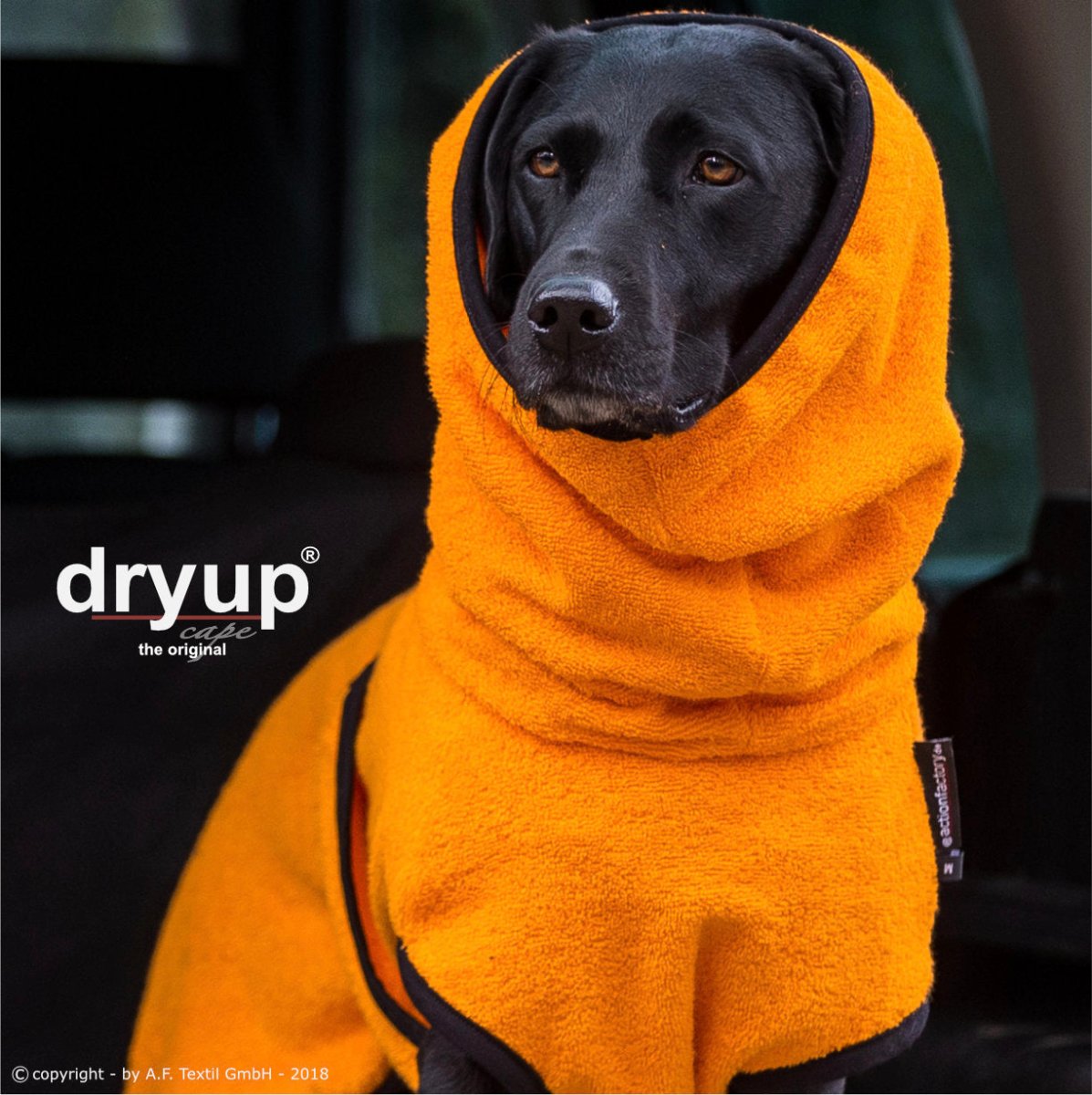 DRYUP CAPE® | ORANGE | Dog bathrobe | dry coat dogs – KENSONS for