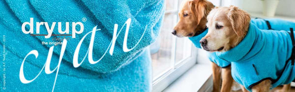 DRYUP CAPE® | Farbe: CYAN / HELLBLAU - KENSONS for dogs