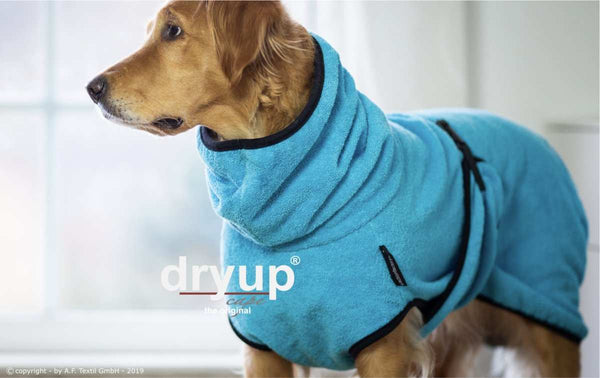 DRYUP CAPE® | Farbe: CYAN / HELLBLAU - KENSONS for dogs
