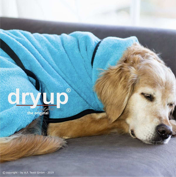 DRYUP CAPE® | Farbe: CYAN / HELLBLAU - KENSONS for dogs