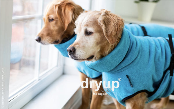 DRYUP CAPE® | Farbe: CYAN / HELLBLAU - KENSONS for dogs
