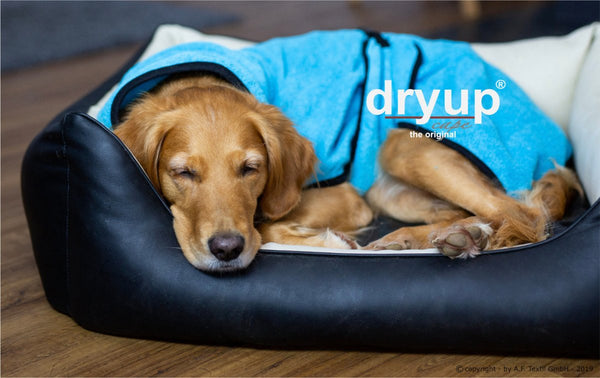 DRYUP CAPE® | Farbe: CYAN / HELLBLAU - KENSONS for dogs