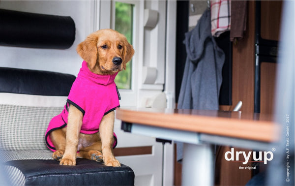 DRYUP CAPE® | Farbe: PINK - KENSONS for dogs
