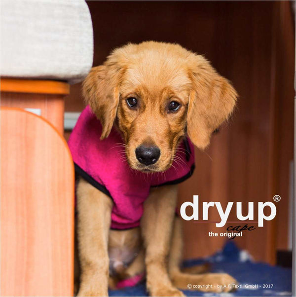 DRYUP CAPE® | Farbe: PINK - KENSONS for dogs