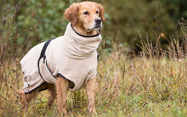 Beiger DRYUP Cape Bademantel für Hunde aus 100% Baumwoll-Frottee – ideal nach Regen, Schwimmen und Matsch