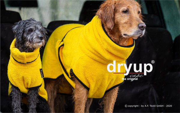 DRYUP CAPE® | Farbe: YELLOW / GELB - KENSONS for dogs