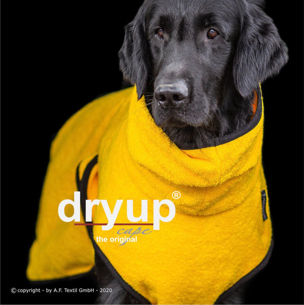DRYUP CAPE® | Farbe: YELLOW / GELB - KENSONS for dogs