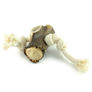 Geweih-Snack 'Horn am Seil' - mit 1 Hornstück - KENSONS for dogs