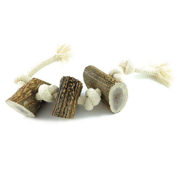 Geweih-Snack 'Horn am Seil' - mit 3 Hornstücken - KENSONS for dogs