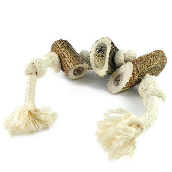 Geweih-Snack 'Horn am Seil' - mit 3 Hornstücken - KENSONS for dogs