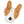 Hundespielzeug Wildleder Jack Russell - KENSONS for dogs