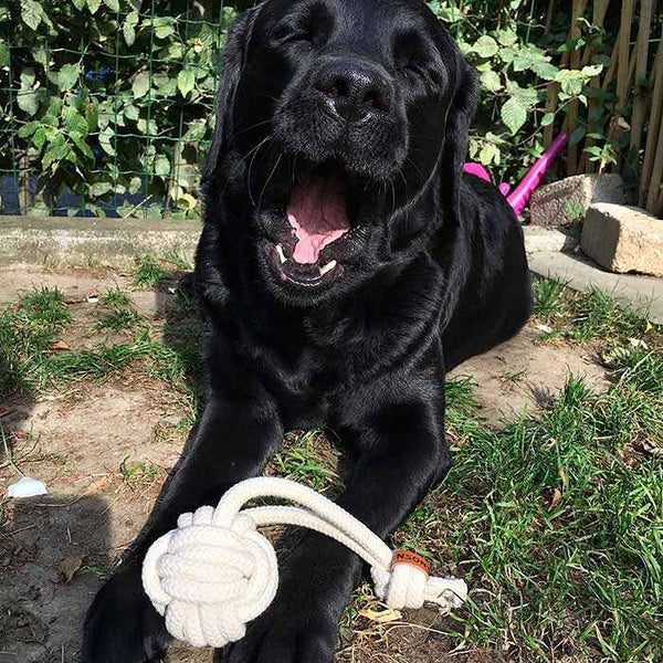 Knotenball | Wurfball | Tau-Spielzeug - KENSONS for dogs