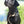 Retrieverleine 6mm Elegant | Mehr Beige als Schwarz - KENSONS for dogs