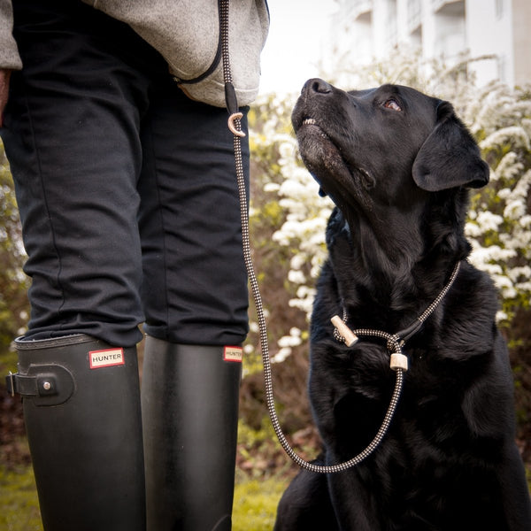 Retrieverleine 6mm Elegant | Mehr Schwarz als Beige - KENSONS for dogs