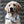 Retrieverleine 6mm Sporty | Baby Einhorns' Baby - KENSONS for dogs