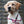 Retrieverleine 6mm Sporty | Himbeerig - KENSONS for dogs