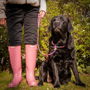Retrieverleine 8mm Elegant | Süßestes Mädchen-Pink-Rosa - KENSONS for dogs